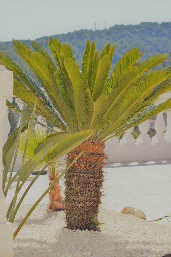 Villa La Terre Des Lauriers Vallauris Esterno foto